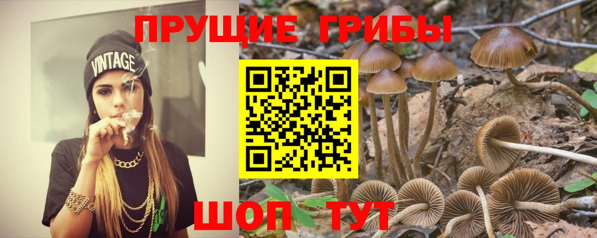 сколько стоит  Вход с VPN  Надым  Псилоцибиновые грибы Magic Shrooms 