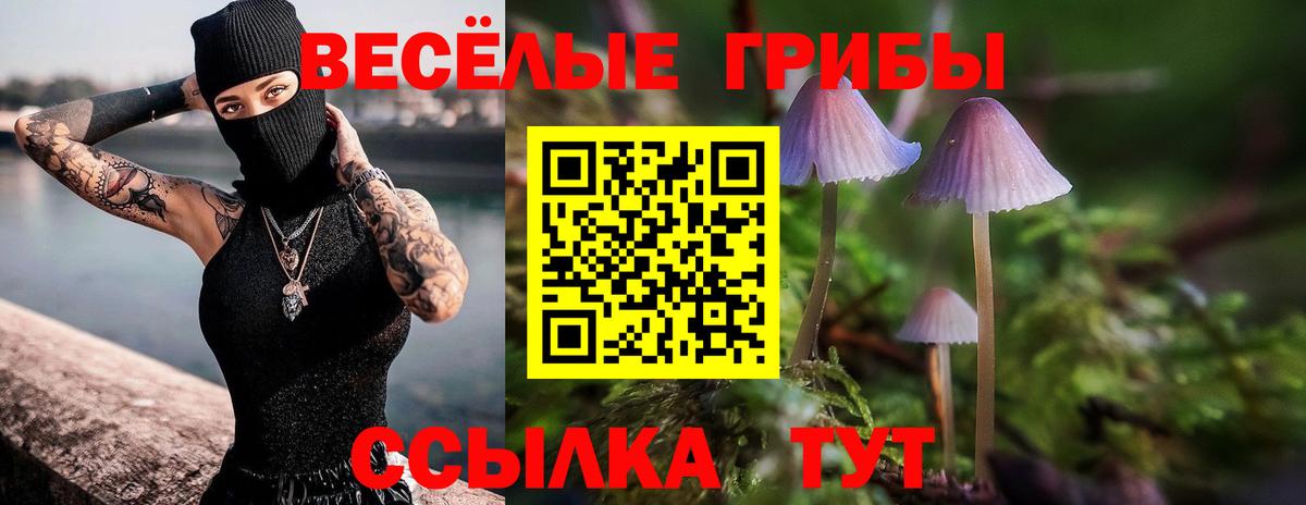 Псилоцибиновые грибы Cubensis Надым